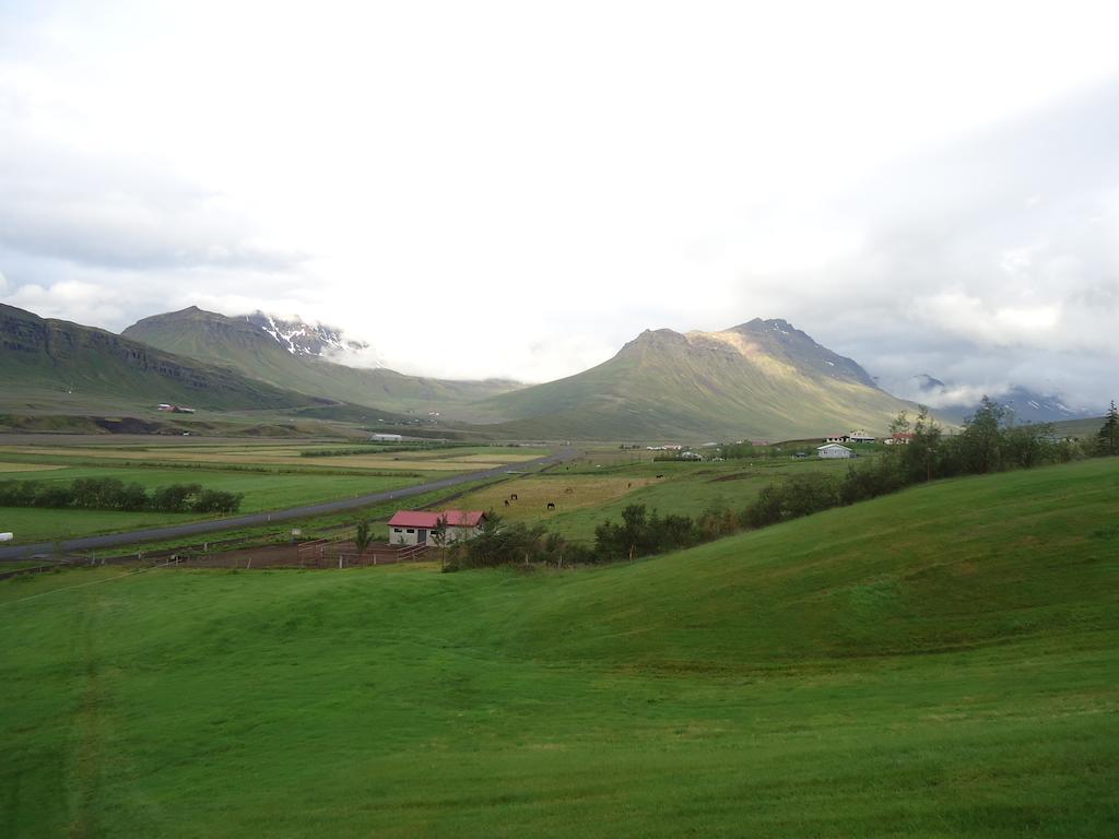Skorrahestar Villa Neskaupstaður Rom bilde